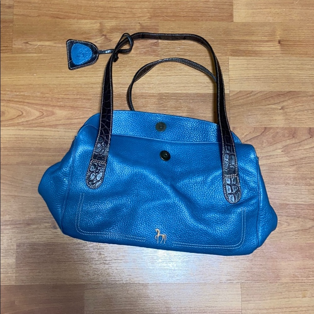 Petusco Blue Handbag!